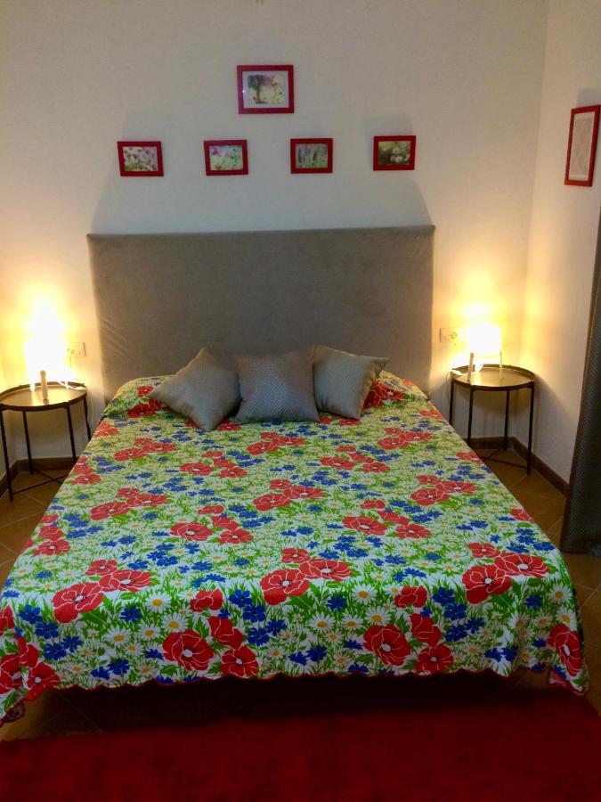 Aparthotel Rosa