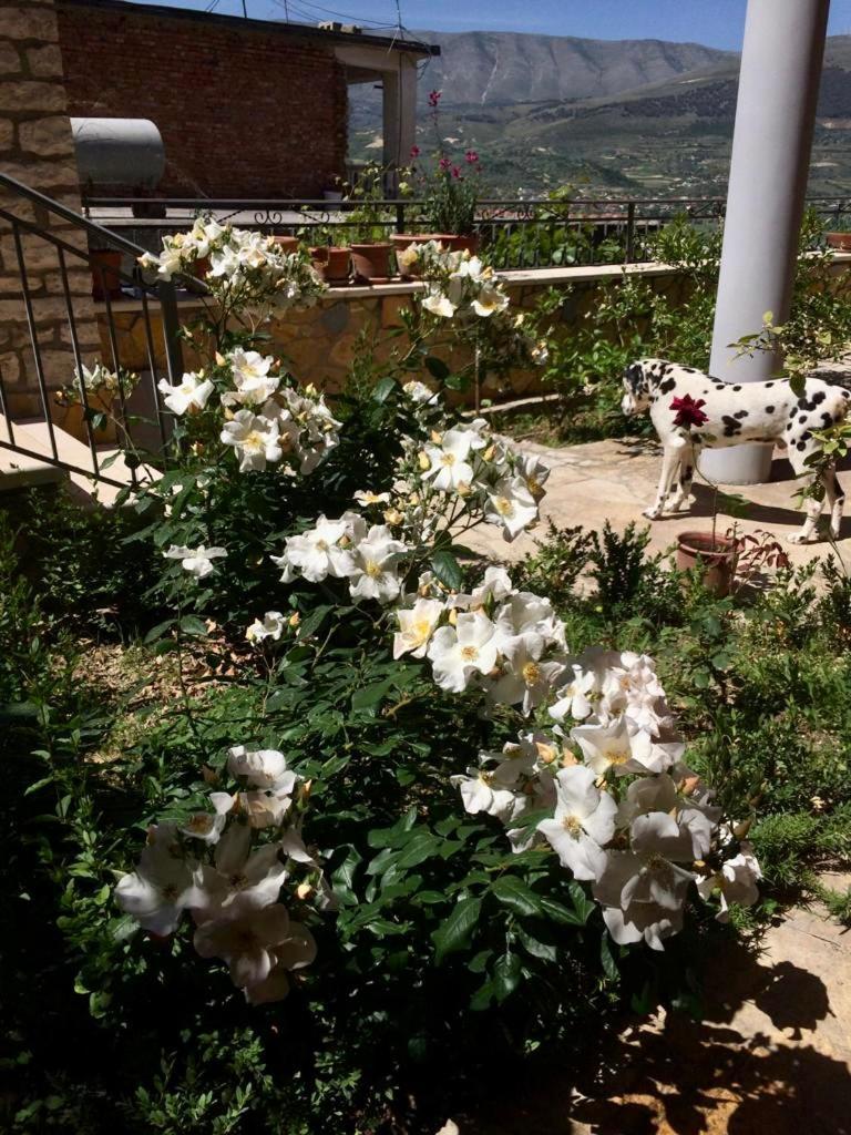 Aparthotel Rosa Berat