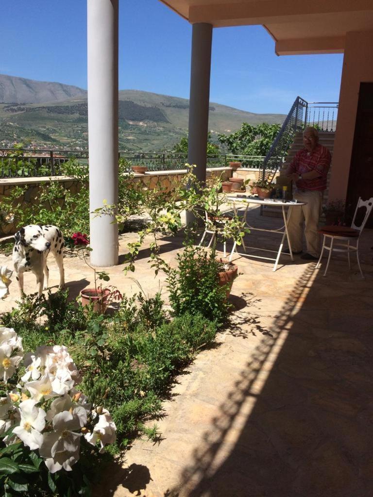 Aparthotel Rosa